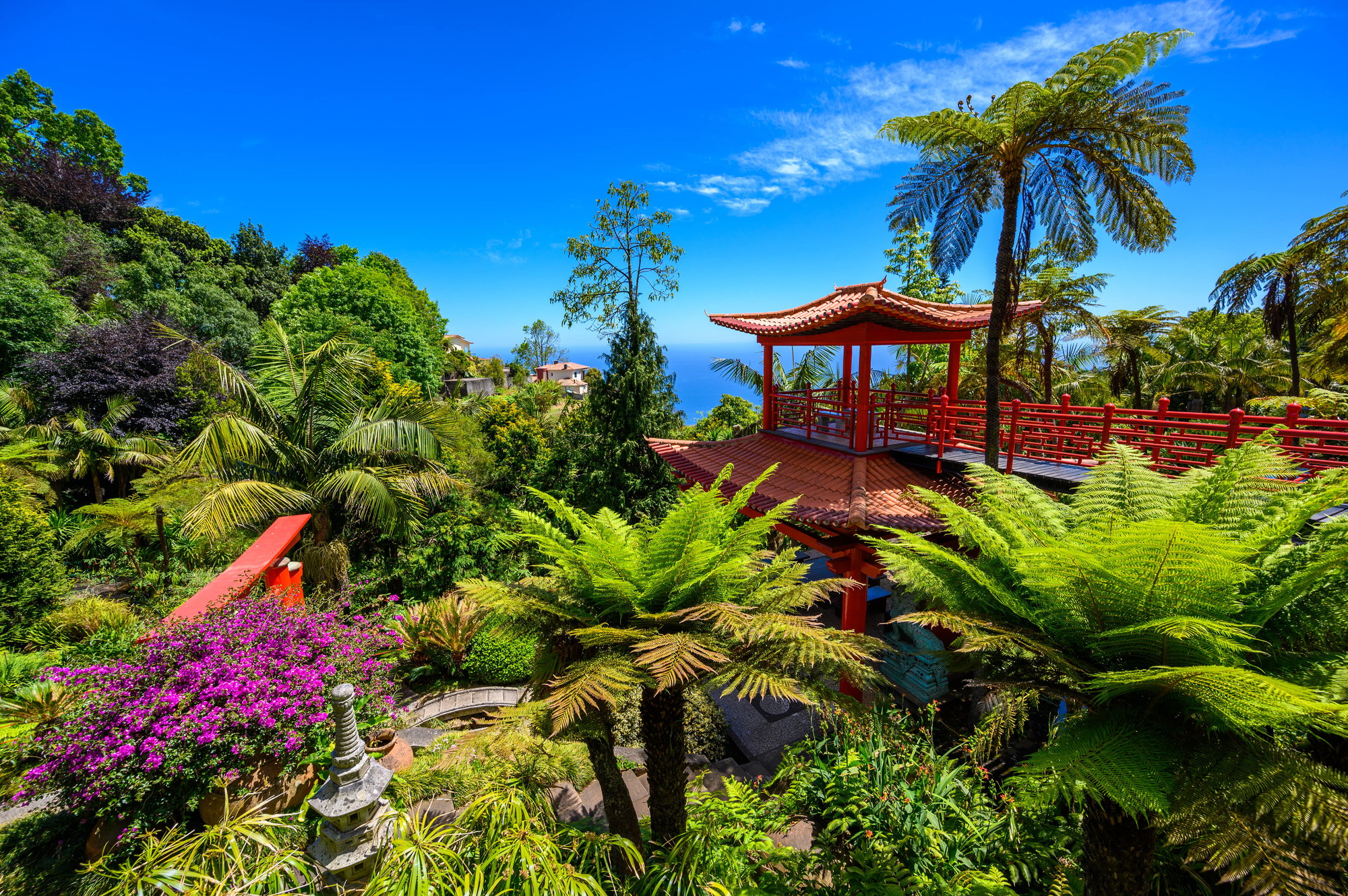 madeira