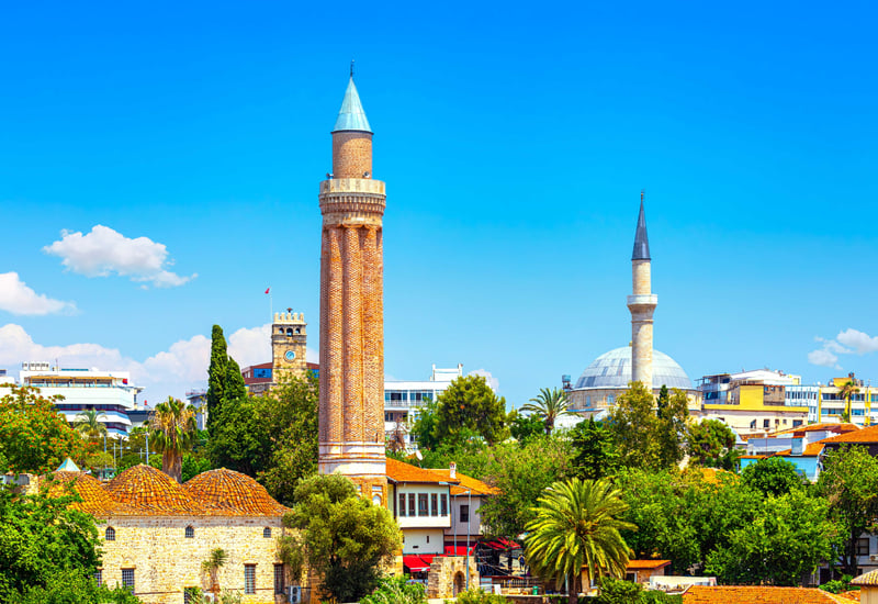 shutterstock_2011715831 (1)