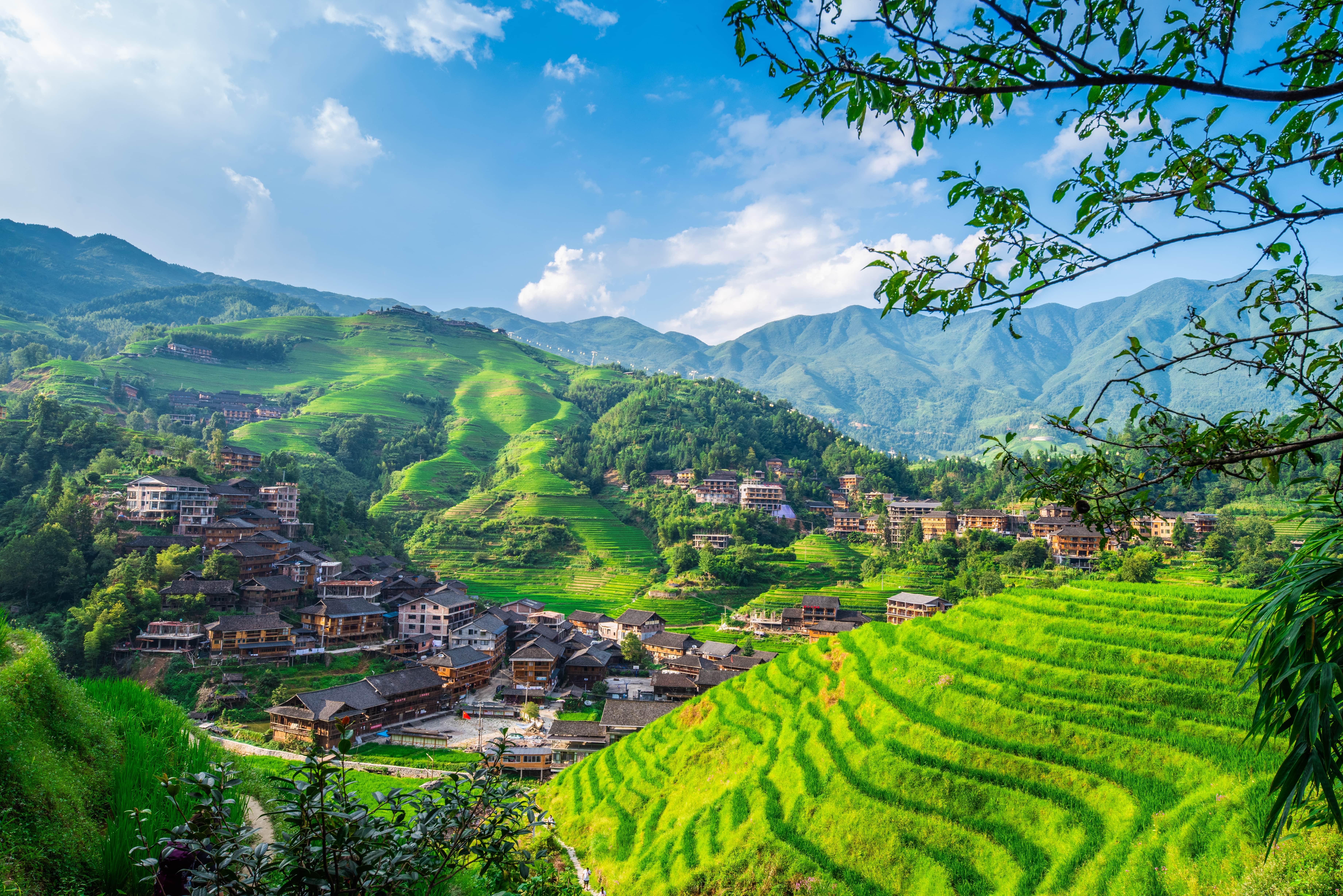  Оризовите тераси Лонгджи